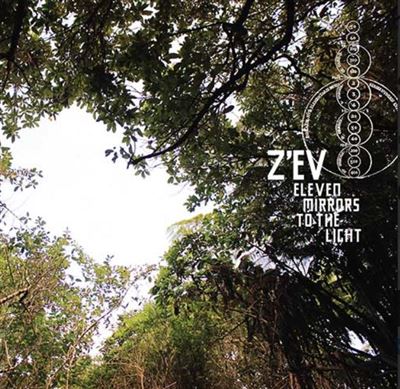 Eleven Mirrors To The Light