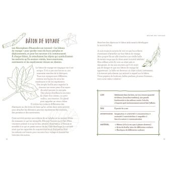 L'école de la forêt