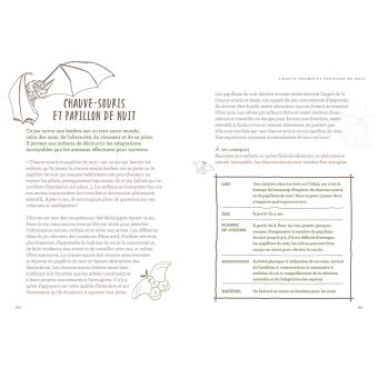 L'école de la forêt