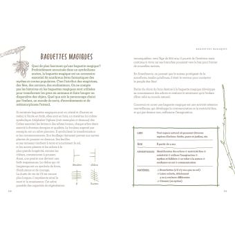 L'école de la forêt