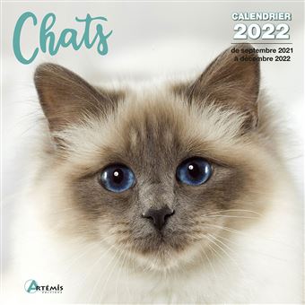Calendrier 2022 Chat Calendrier Chats 2022   broché   COLLECTIF.   Achat Livre | fnac