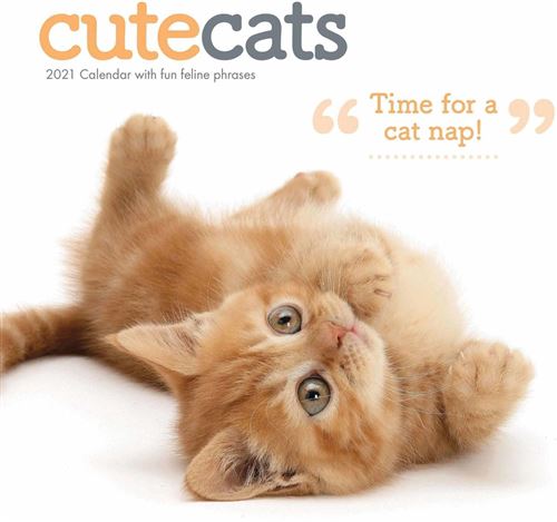 KALENDER 21 CUTE CATS CRS