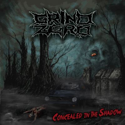 Concealed in the shadow