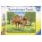 Puzzle 100 Pièces : Pièces XXL - Chevaux Heureux Dans La Prairie, Ravensburger