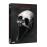 Penny DreadfulPenny Dreadful Saison 3 DVD_0