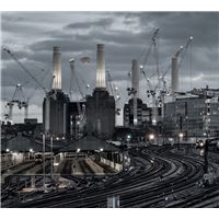 Animals (2018 Remix) - LP