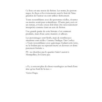 Vengeances au Bout de la Haine