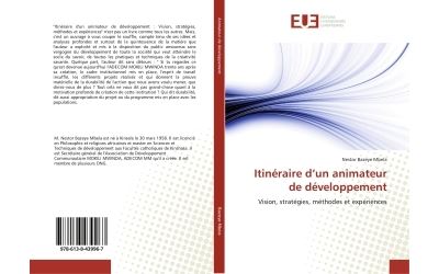 Itineraire d'un animateur de developpement - vision, strateg