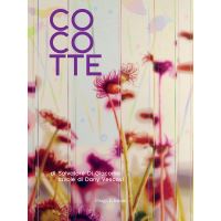 Cocotte