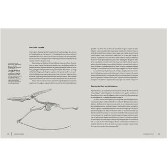 Les Dinosaures tels qu'ils étaient vraiment