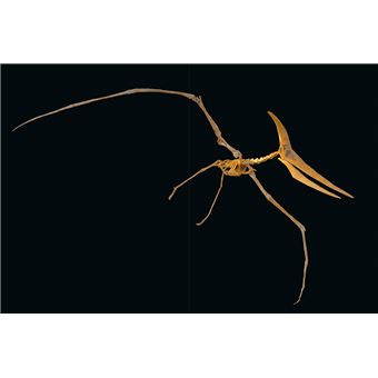 Les Dinosaures tels qu'ils étaient vraiment