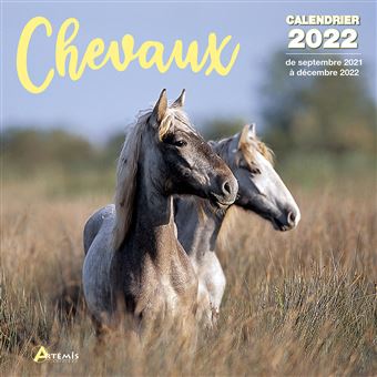 Calendrier Cheval 2023 Calendrier Chevaux 2022 - Broché - Collectif - Achat Livre | Fnac