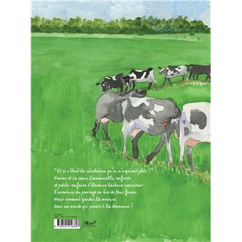 Terre ferme