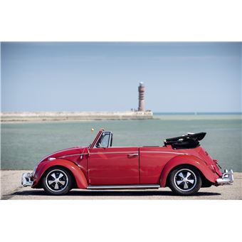 Coccinelle, un art de vivre