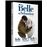 Belle et SébastienBelle et Sébastien La trilogie Coffret DVD_0