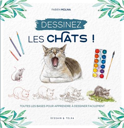 Dessinez les chats ! -  Fabien Molina - broché