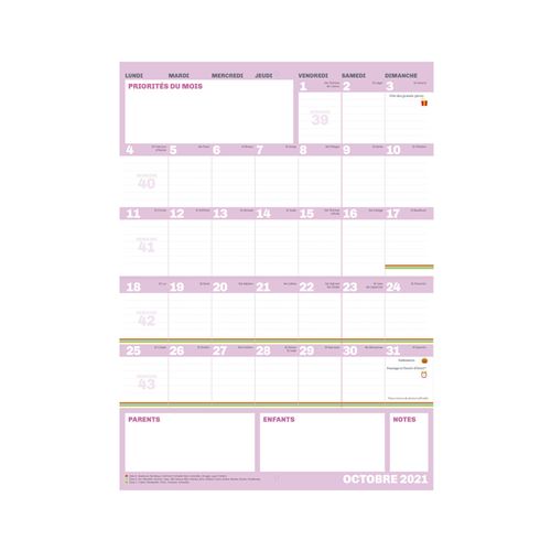 Mini Frigobloc - Le calendrier mensuel de Play Bac - Grand Format -  Livre - Decitre