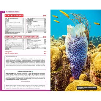 Guide du Routard Guadeloupe 2022/23