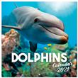 Calendrier 2021 30x30 Dolphins