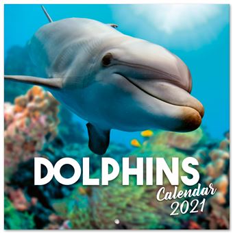 Calendrier 2021 30x30 Dolphins