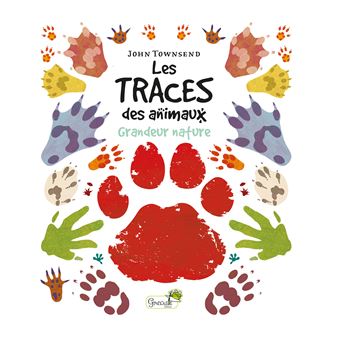 Les traces des animaux
