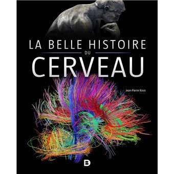 La belle histoire du cerveau