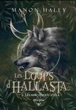 Les sorcières d'Etelä