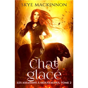 Chat glacé - 1