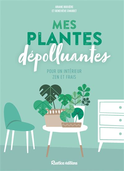 Mes plantes depolluantes pour un interieur zen et frais