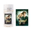 Puzzle 500 pièces Harry Potter et la Chambre des secrets