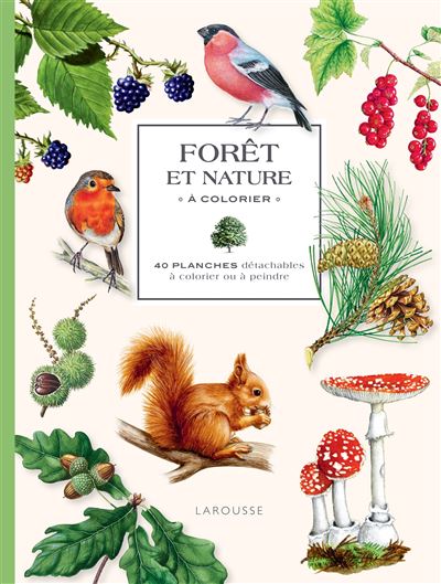 Forêt et nature à colorier