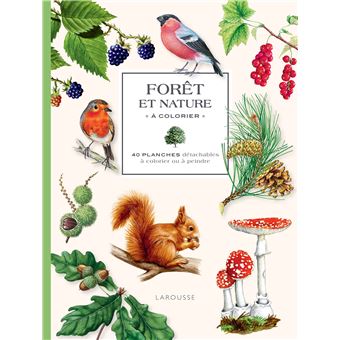 Forêt et nature à colorier