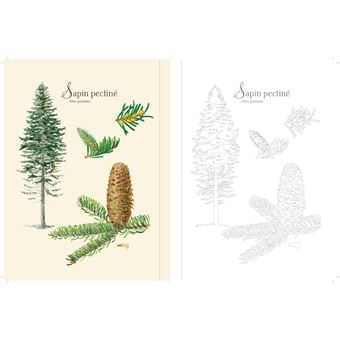 Forêt et nature à colorier