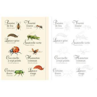 Forêt et nature à colorier