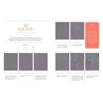 Dessiner les Animaux à sauver - 30 espèces menacée à dessiner en pas-à-pas