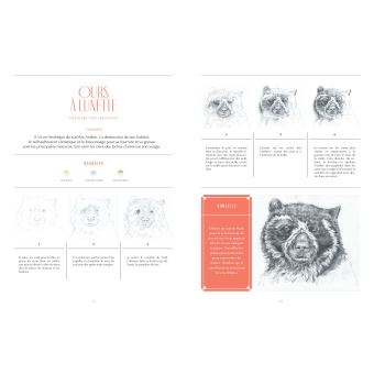 Dessiner les Animaux à sauver - 30 espèces menacée à dessiner en pas-à-pas