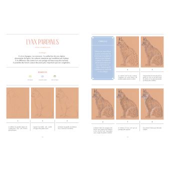 Dessiner les Animaux à sauver - 30 espèces menacée à dessiner en pas-à-pas