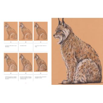 Dessiner les Animaux à sauver - 30 espèces menacée à dessiner en pas-à-pas