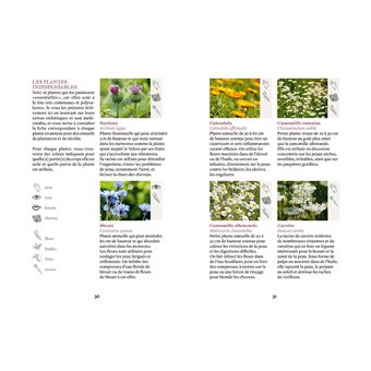 Fabriquer savons, huiles, dentifrice... à base de plantes locales