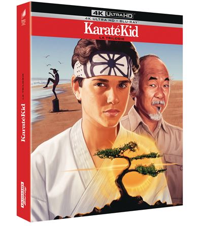 https://static.fnac-static.com/multimedia/Images/FR/NR/27/15/d3/13833511/1507-1/tsp20210930083402/Karate-Kid-Coffret-Edition-Speciale-Fnac-Blu-ray-4K-Ultra-HD.jpg