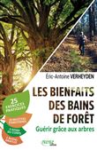 Les bienfaits des bains de forêt - Guérir grâce aux arbres