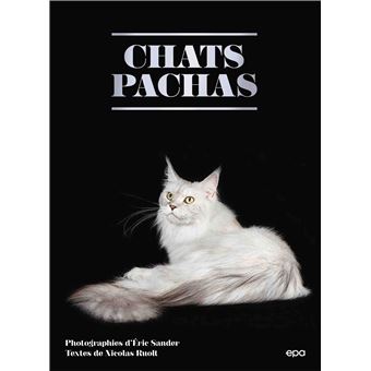 Chats Pachas