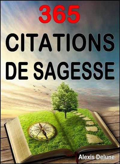 365 Citations De Sagesse Pensees Positives Et Inspirantes Pour Le Quotidien Ebook Epub Alexis Delune Achat Ebook Fnac