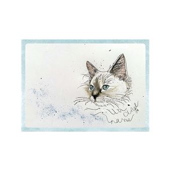 Méditations de chats - Messages du monde félin au genre humain