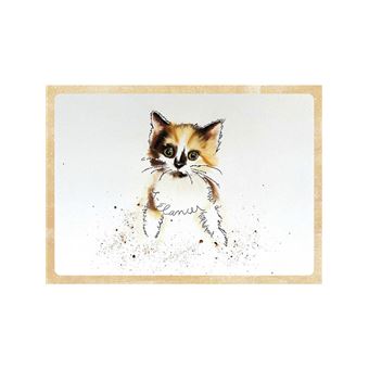 Méditations de chats - Messages du monde félin au genre humain