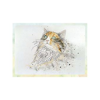 Méditations de chats - Messages du monde félin au genre humain