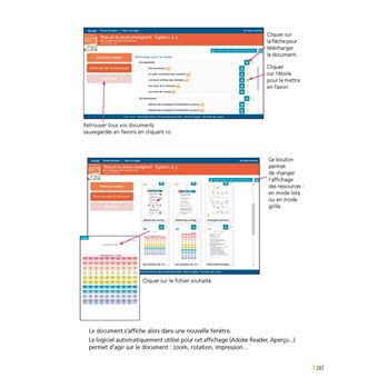Manuel du jeune enseignant + Ressources numériques