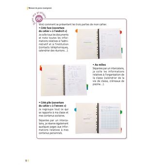 Manuel du jeune enseignant + Ressources numériques