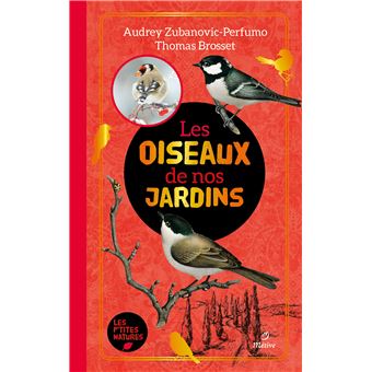Les oiseaux de nos jardins
