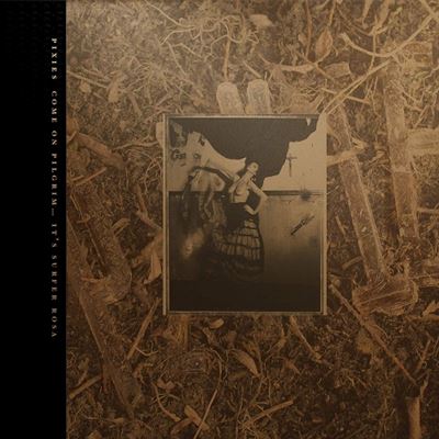 Come on pilgrim it s surfer rosa